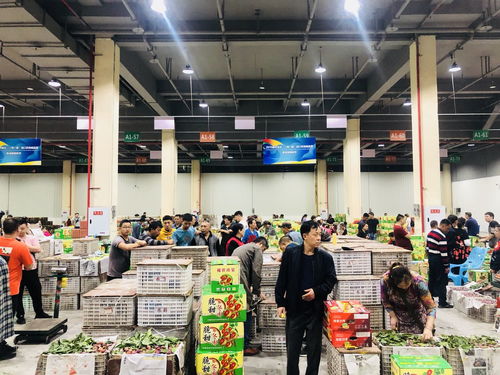渝北 菜园坝水果市场商户入驻 海领农产品批发市场水果交易区今起试营业